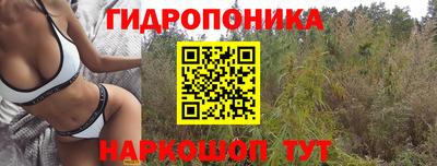 бошки Владивосток