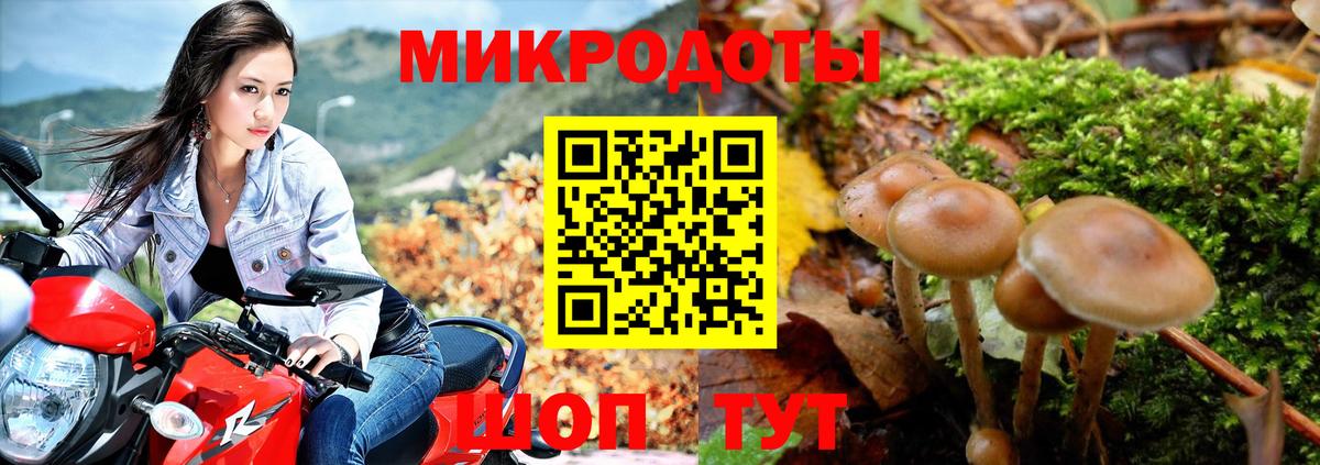 Долгопрудный  Псилоцибиновые грибы мицелий  Вход с VPN  Галлюциногенные грибы мицелий 